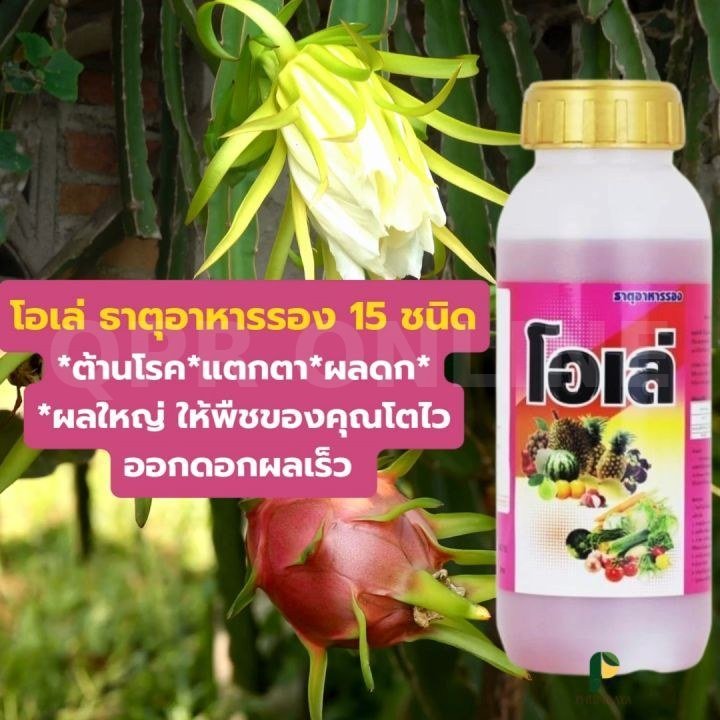 โอเล่ บำรุงต้น-ใบ เร่งดอกออกผล ขวดละ 500 ML. จำนวน 1 ขวด
