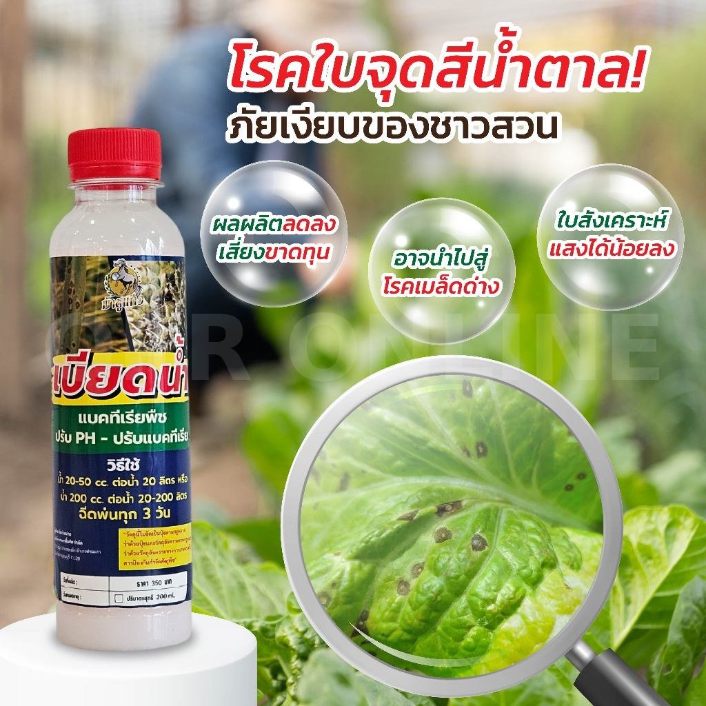 เบียดน้ำ สมุนไพรดูแลพืช ทางใบ-ทางดิน จำนวน 3 ขวด